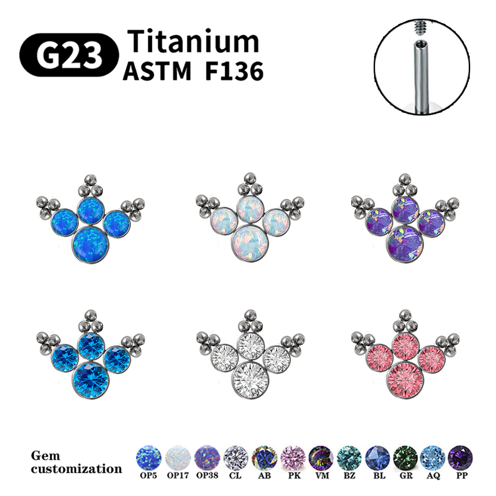 G23 Titanium Piercing Stud Ear - Opal Earrings Dangle recension och pris
